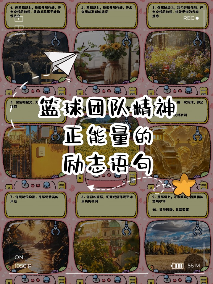 哪里能找到分卫的技术分析视频_0